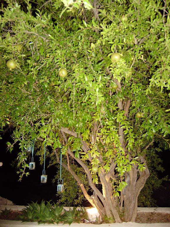 Villa Katingo Chalki Town Bagian luar foto